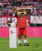 Fussball 1. Bundesliga 22/23: FC Bayern Muenchen - TSG 1899 Hoffenheim