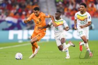 FUSSBALL WM 2022 Vorrunde: Senegal - Niederlande