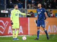 Fussball 1. Bundesliga 23/24: TSG 1899 Hoffenheim - SV Darmstadt 98