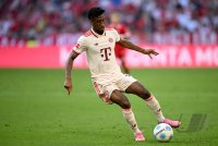 Fussball 1. Bundesliga 24/25: FC Bayern Muenchen - SC Freiburg