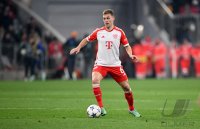 Fussball International CHL 23/24: FC Bayern Muenchen - FC Kopenhagen