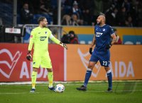 Fussball 1. Bundesliga 23/24: TSG 1899 Hoffenheim - SV Darmstadt 98