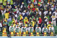 FUSSBALL WM 2022 Vorrunde: Senegal - Niederlande