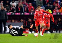 Fussball 1. Bundesliga 22/23: FC Bayern Muenchen - Eintracht Frankfurt