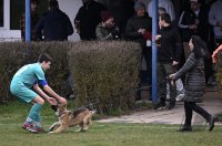 Fussball Kreisliga B 6 23/24: SGM Oberndorf / Hailfingen - SSC Tuebingen II