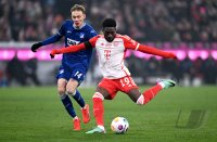 Fussball 1. Bundesliga 23/24: FC Bayern Muenchen - TSG 1899 Hoffenheim