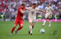 Fussball 1. Bundesliga 24/25: FC Bayern Muenchen - SC Freiburg