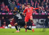 Fussball 1. Bundesliga 22/23: FC Bayern Muenchen - Eintracht Frankfurt