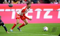 Fussball 1. Bundesliga 23/24: FC Bayern Muenchen - 1. FC Heidenheim