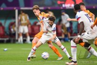 FUSSBALL WM 2022 Achtelfinale: Niederlande - USA