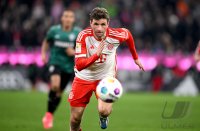 Fussball 1. Bundesliga 23/24: FC Bayern Muenchen - VfB Stuttgart